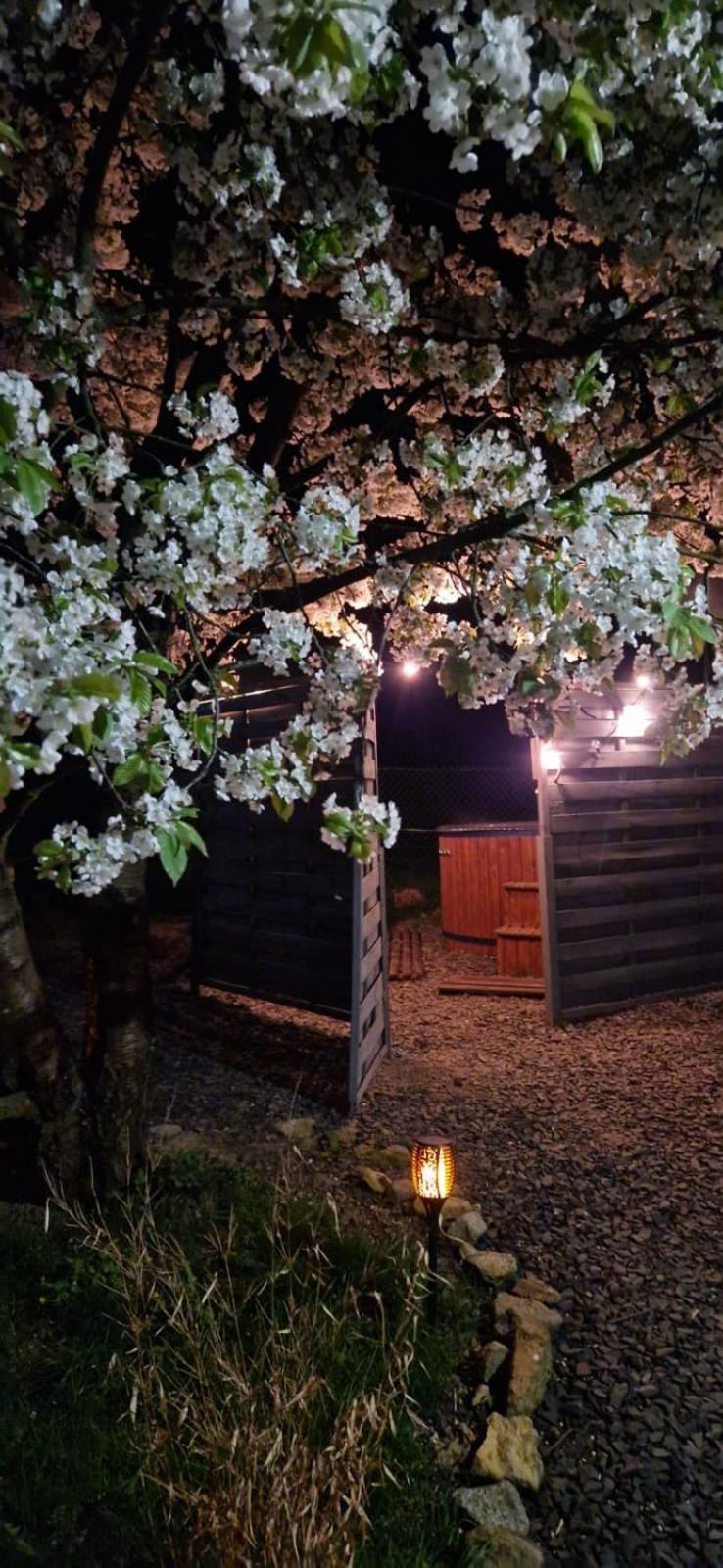 Agroturystyka U Kozdryka Leśna Exteriér fotografie